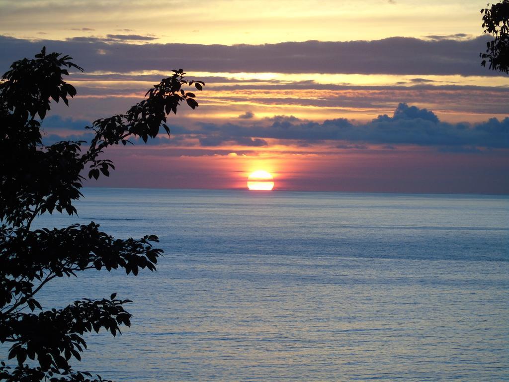 La Uvita Perdida Dış mekan fotoğraf